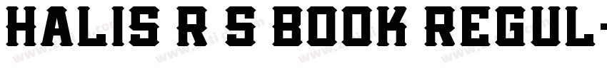 Halis R S Book Regul字体转换